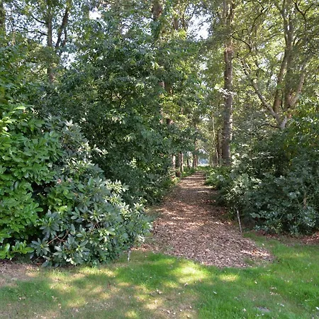 Ruheoase Am Wald 35651