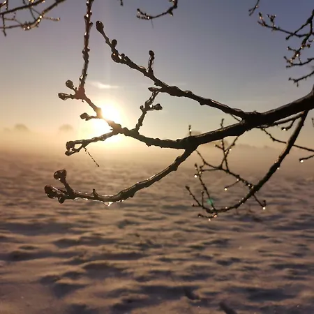 Ruheoase Am Wald 35651