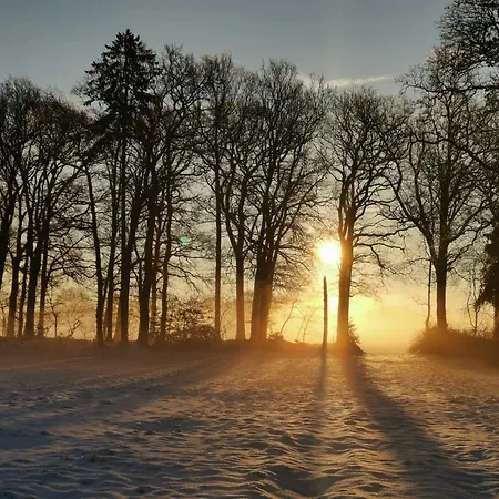 Ruheoase Am Wald 35651 * Uplengen