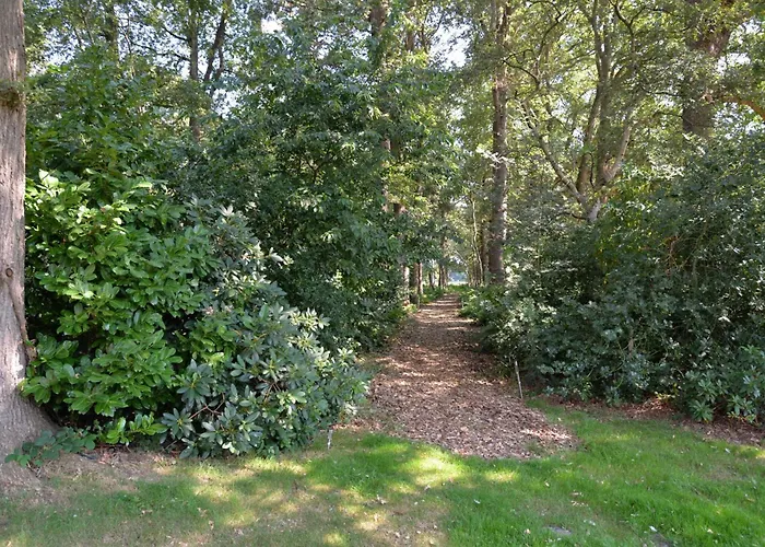 Ruheoase Am Wald 35651