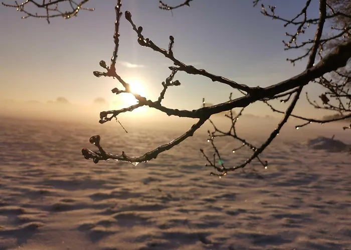 Ruheoase Am Wald 35651