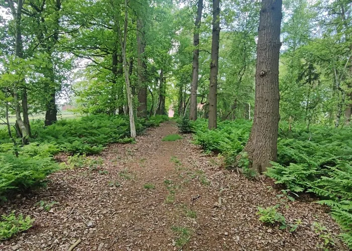 Ruheoase Am Wald 35651