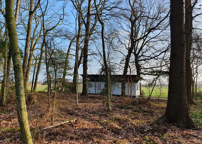 Ruheoase Am Wald 35651 *